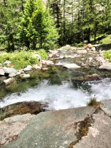 Grazioso appartamento in montagna