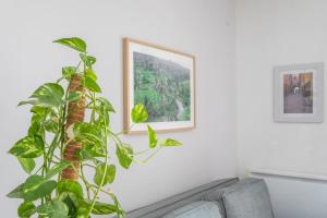 Appartement charmant à Aix-en-Provence - Nomad by Welkeys