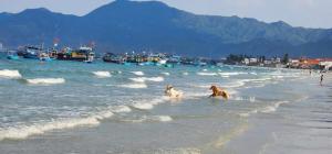 Hương Biển Homestay - Dốc Lết