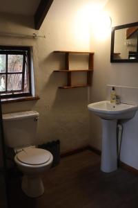 Wild Spirit Backpackers Lodge