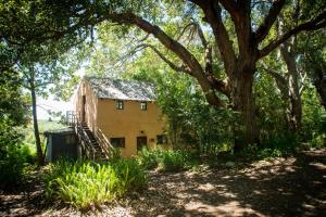 Wild Spirit Backpackers Lodge