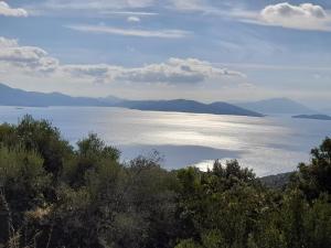 ASTERAS by Villa Paou