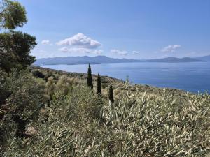 ASTERAS by Villa Paou
