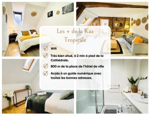 La Kaz Tropicale - Centre ville & Wifi