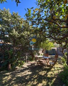 Sardegna 20 img5