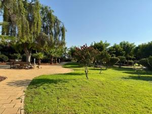 SUN & SEA apartments in Thalassa Beach Resort