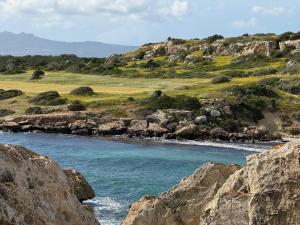 SUN & SEA apartments in Thalassa Beach Resort