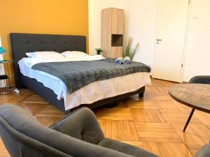 Ultra Central Modern Studio