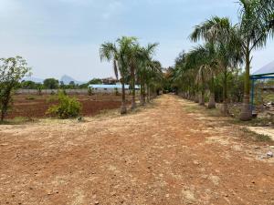 The Glen Woods Luxury Dome Stay near Pavana Lake