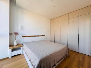 Apartamentai parke, prie upės - Šešupės terasos