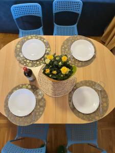 Plavi apartman Airport