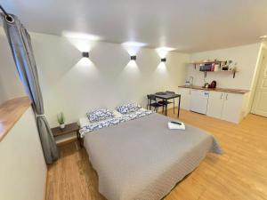 T6 Studio apartment