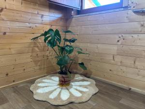 Le scalette di Giocondo