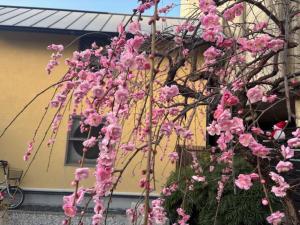 Kyoto Kiyomizu Private Villa