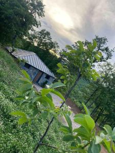 Horse Villa