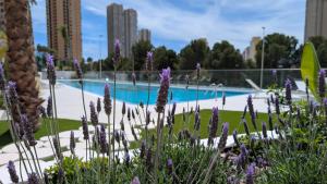 EAGLE TOWER blue sky apartment