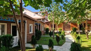 Paulownia Garden