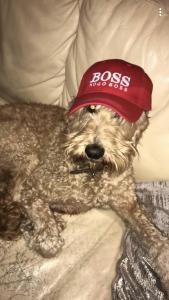 4 Bedrooms with stunning Lake View Drumcoura Lake Resort beside Saloon & equestrian Centre, Lakes & Forest