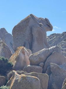 beblungomareolbia img42