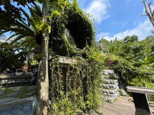 Mirah Guest House