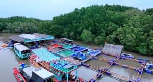 Cần Giờ Floating House