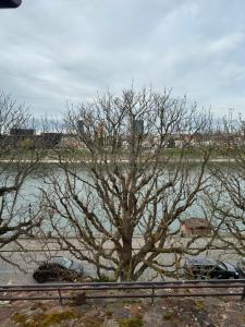 Studio 8 Rhine View - Quiet and Cozy - 10min Walk to City Center, 15min to Main Station