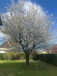 Charmante maison individuelle