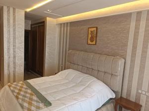 Luxurious apartment Fès