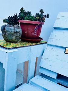 Villa Pollio Guest House
