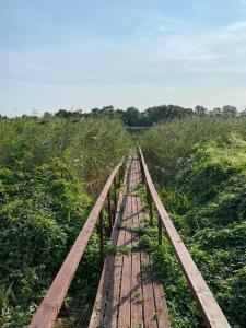 Fazenda, a mini birtok