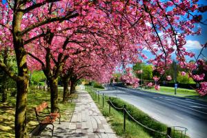 Alma Apartman 615 Zalakaros