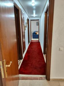 haiab immobiliere