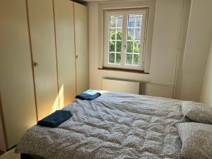 1 bed flat in central Zug