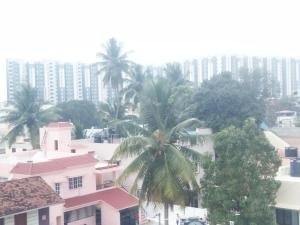 KINGS TOWN - Serene Bliss County