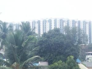 KINGS TOWN - Serene Bliss County