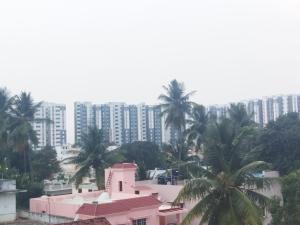 KINGS TOWN - Serene Bliss County