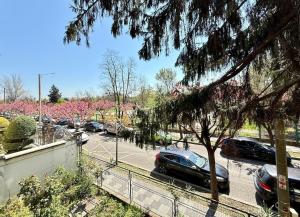 Roses Park Apartment