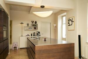 Apartment With Terrace And Garden At Frederiksberg