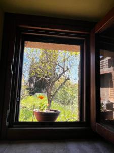 Notti Etrusche a Sovana