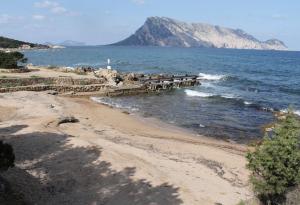 Cala Ginepro Villa img8