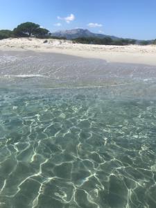 Dommo e Mare