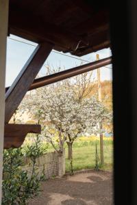 Casa Dolce Vita di Robé - Relax, Mare e Natura