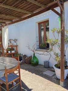 Su Frassu Authentic Gallura Stone House Vineyard Area near Olbia img13