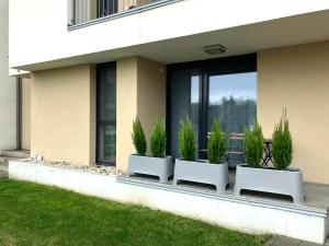 City and Thermal Apartman