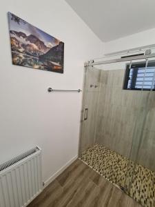 Romanescu Park Apartament