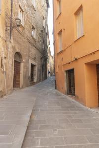 Jungle spa Loft Private Wellness Perugia Downtown