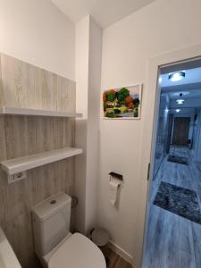 Romanescu Park Apartament