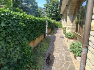 B&B Viale delle Nazioni