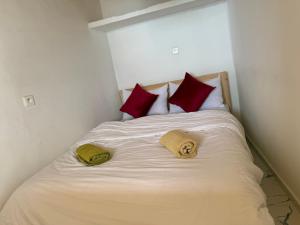 Adar surf house