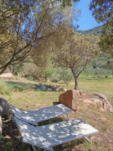 Su Frassu Authentic Gallura Stone House Vineyard Area near Olbia img30